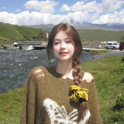 菜鸟总动员